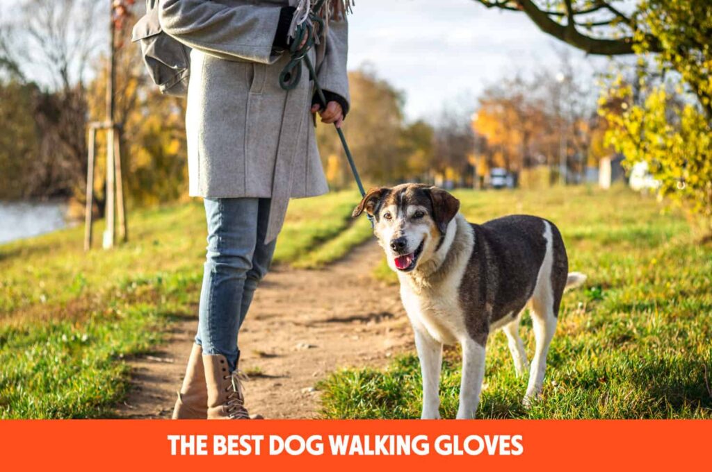 The Best Dog Walking Gloves (We Use Them!)